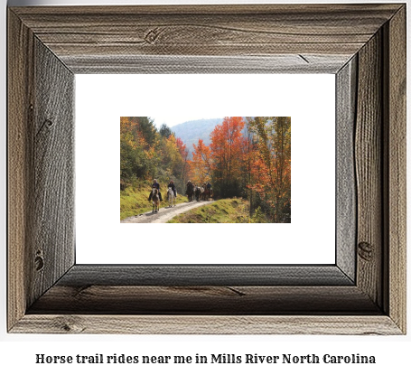 horse trail rides near me in Mills River, North Carolina